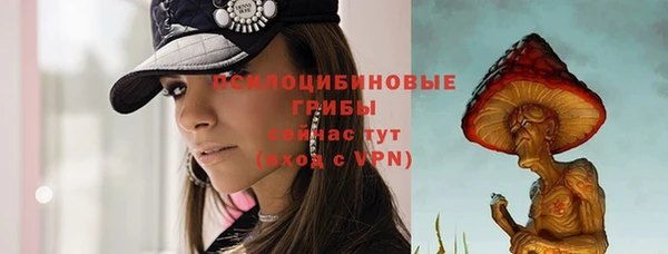 прущая мука Богородицк