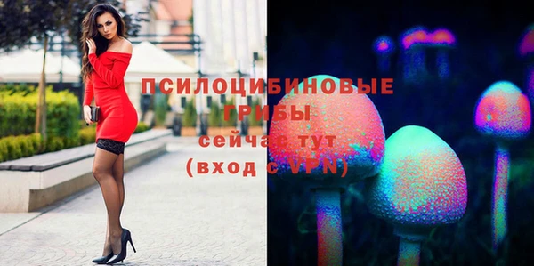 jwh Богородск