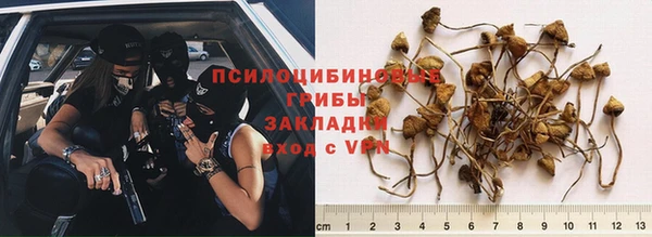 прущая мука Богородицк